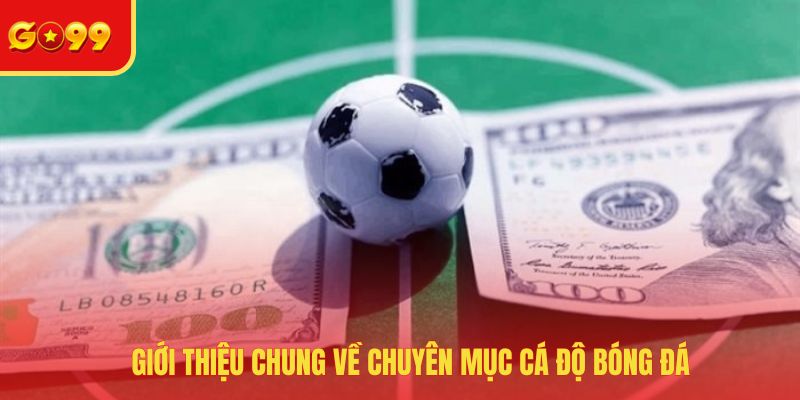 Giới thiệu chung về chuyên mục cá độ bóng đá