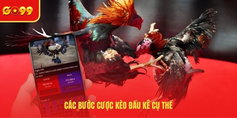 Các bước cược kèo đấu kê cụ thể