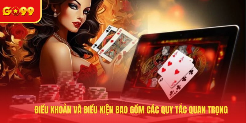 Điều khoản và điều kiện bao gồm các quy tắc quan trọng